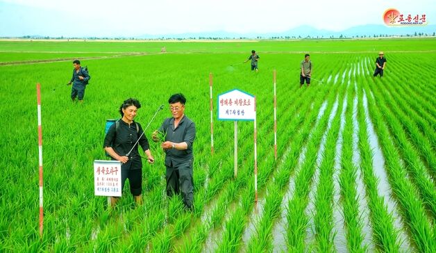 北 기상수문국 "6월 말부터 7월 상순 장마…평년보다 15일 빨라"