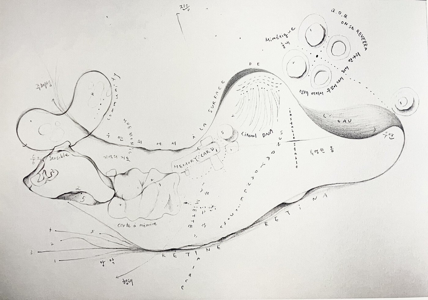 본문 이미지 - 김보라 마음의 지도_2024_연필, 종이, 스캐너, 프린트, 지점토, 베갯잇_31.4 x 93 cm1 &#40;서울시립미술관 제공&#41;