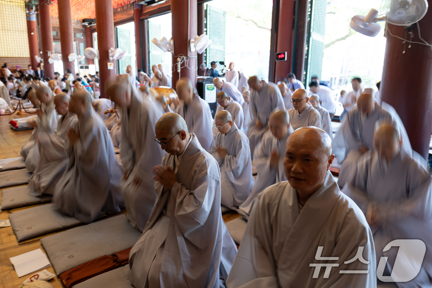 (서울=뉴스1) 이승배 기자 = 23일 서울 종로구 조계사 대웅전에서 열린 '세상의 평안을 위한 1천일 기도 회향 법회'에서 스님들과 신도들이 108배를 올리고 있다. 2025.6 …