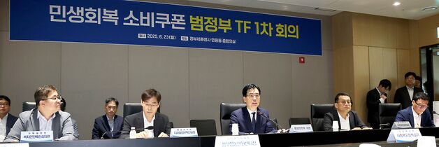 민생회복 소비쿠폰 범정부 TF 회의 발언하는 김민재 행안부 차관