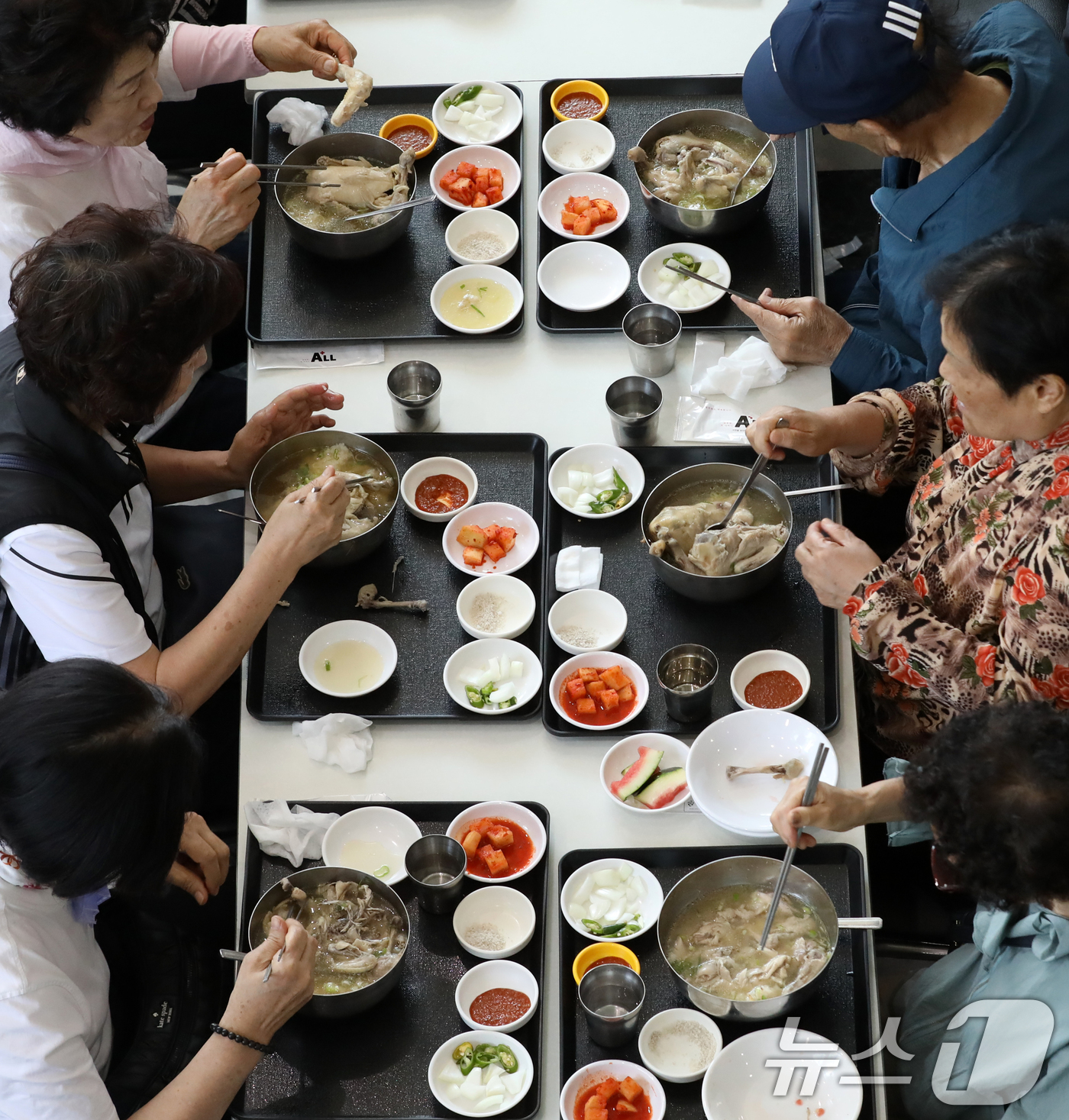 (부산=뉴스1) 윤일지 기자 = 23일 부산 사상구 경남정보대학교 학생식당에서 열린 '사랑의 삼계탕 나누기 행사'에서 총학생회와 자원봉사자들이 제75주년 6·25 전쟁일을 앞두고 …