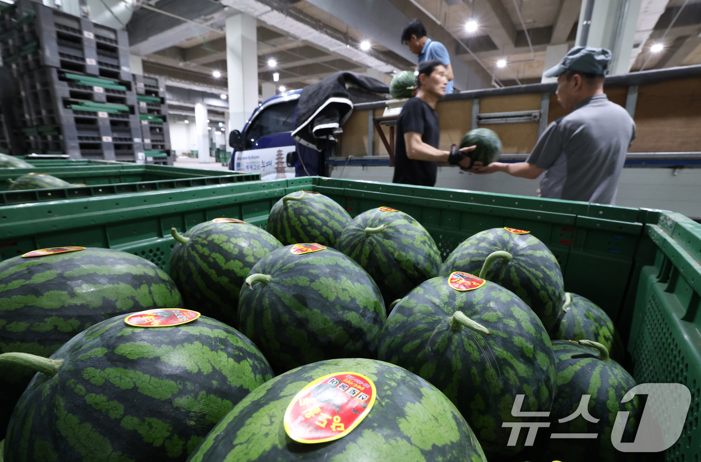 (수원=뉴스1) 김영운 기자 = 무더운 날씨를 보인 23일 오전 경기 수원시 권선구 수원농수산물도매시장 과일동에서 상인들이 수박을 옮기고 있다. 2025.6.23/뉴스1