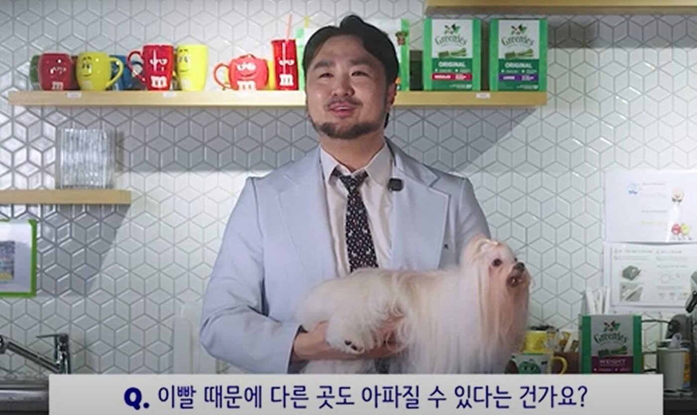 본문 이미지 - 심용희 한국마즈 수의사가 반려견 구강 관리의 중요성에 대해 설명하고 있다(반려의 완성 유튜브 채널 갈무리). ⓒ 뉴스1