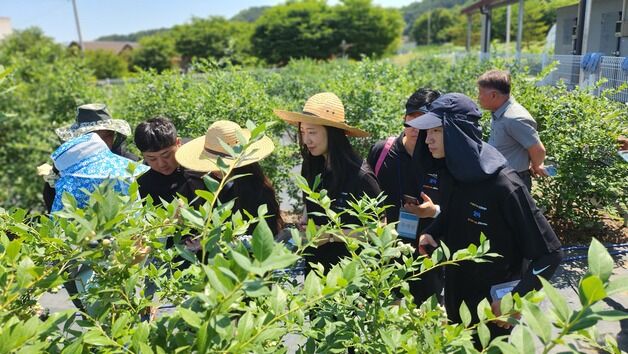 진안군 귀농귀촌종합센터, 귀농산촌 청년캠프 '꿀벌활동단' 운영