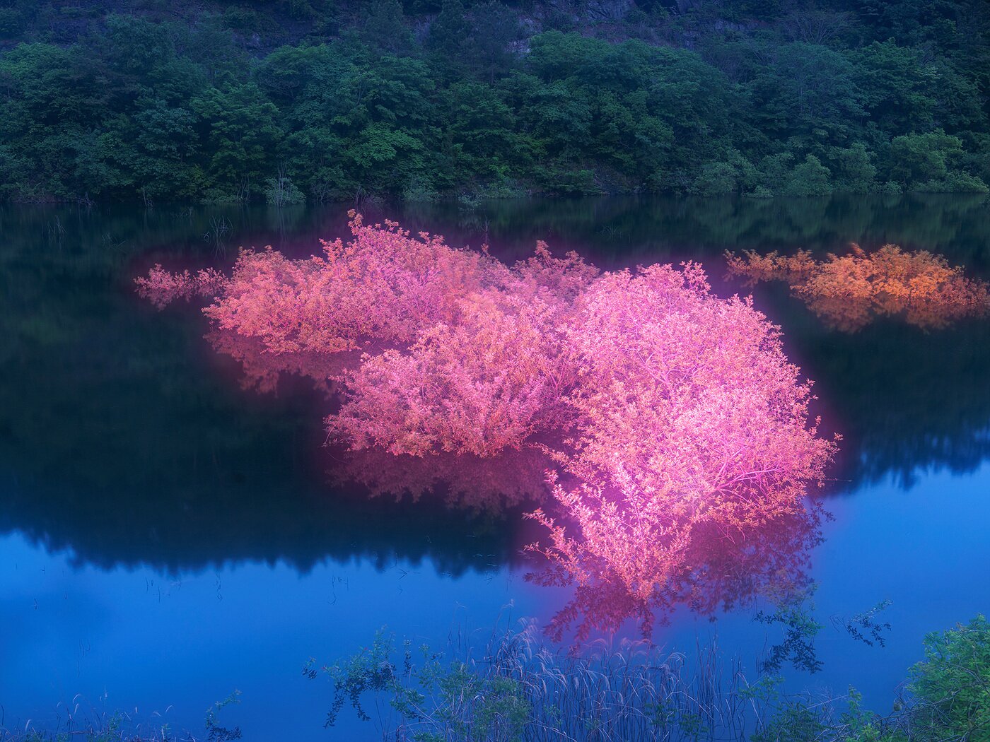 본문 이미지 - 이정록 Private Light 23 90x120cm,120x160cm Archival Pigment print 2025 &#40;갤러리나우 제공&#41;