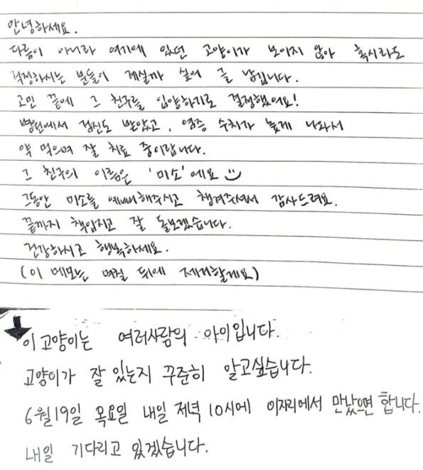 본문 이미지 - (온라인 커뮤니티 갈무리)