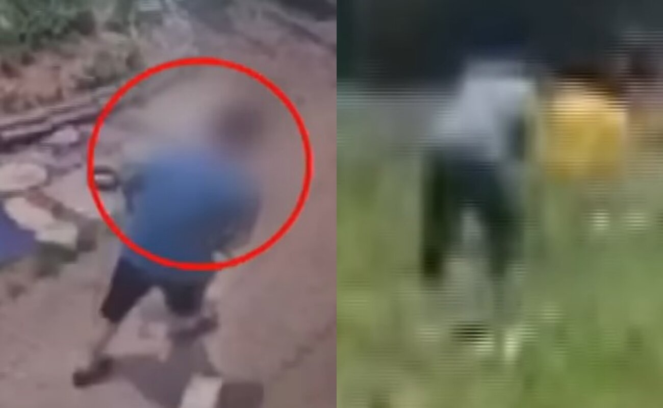 본문 이미지 - 이웃집 남성이 축 늘어진 꼬미를 옮기는 장면(왼쪽), 삽을 이용해 흙을 파고 꼬미를 묻는 모습(오른쪽). (JTBC 뉴스)