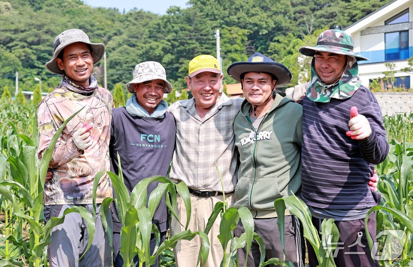 본문 이미지 - 캄보디아에서 입국한 외국인 계절근로자들이 충북 괴산 연풍면의 한 농가의 옥수수 밭에서 즐거운 표정으로 기념촬영을 하고 있다.(괴산군 제공, 재판매 및 DB금지)/뉴스1