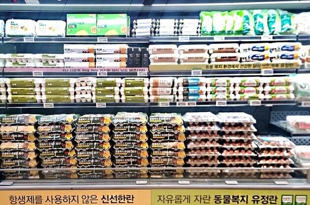 "계란 한판 6000원대"…이랜드킴스클럽, 6천판 한정 판매