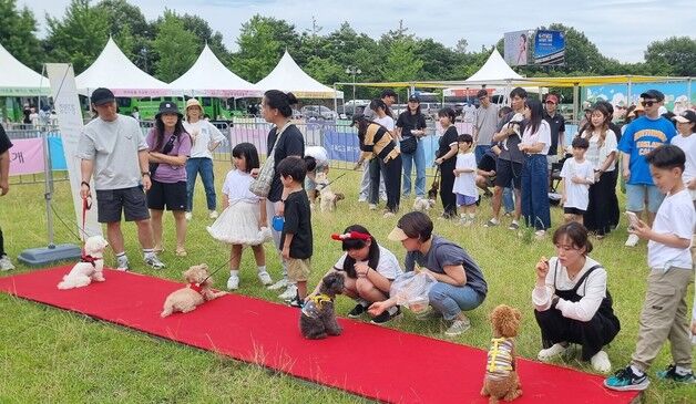 경북교육청, '생명 사랑 가족 캠프'  개최