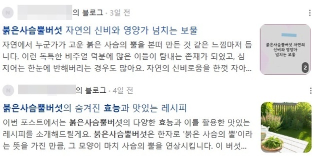 "맛 좋다?"…맹독 '붉은사슴뿔버섯' 거짓 레시피 논란