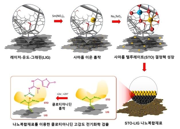 네오니코티노이드 계열 살충제 고감도 검출 센싱기술 개발