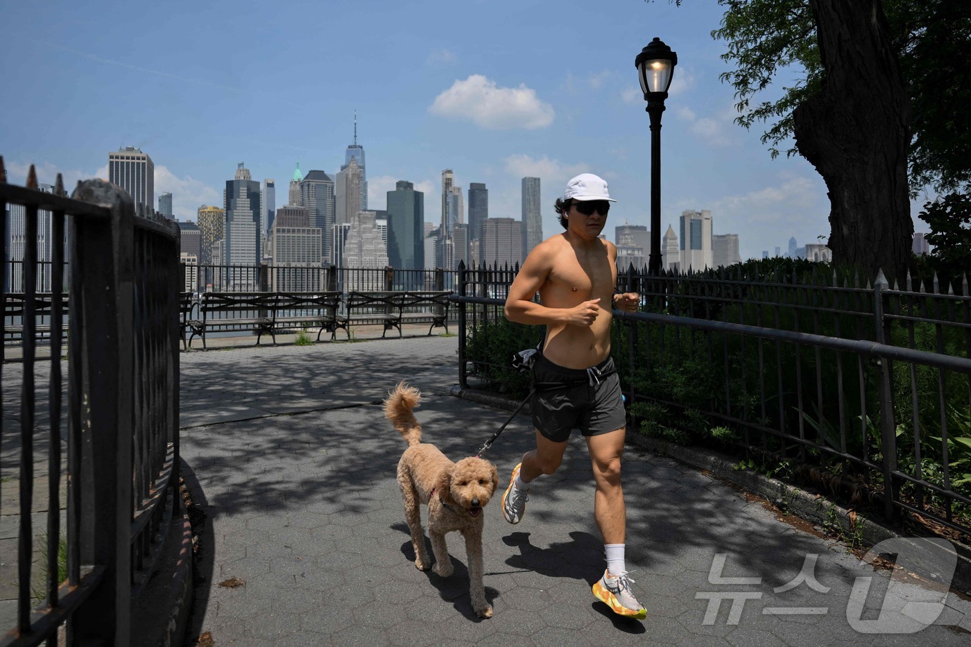 (뉴욕 AFP=뉴스1) 김예슬 기자 = 23일(현지시간) 미국 뉴욕의 기온이 섭씨 34도까지 오르며 폭염 경보가 발령된 가운데 한 시민이 반려견과 함께 조깅을 하고 있다. 25.0 …