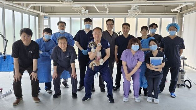 16년째 따뜻한 '로얄' 손길…43마리 구조동물, 새 삶 향한 첫걸음