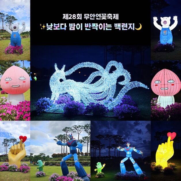 여름의 시작 알리는 '무안연꽃축제' 26일 개막