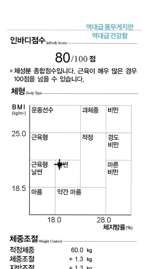 본문 이미지 - 하니 인바디/인스타그램 캡처