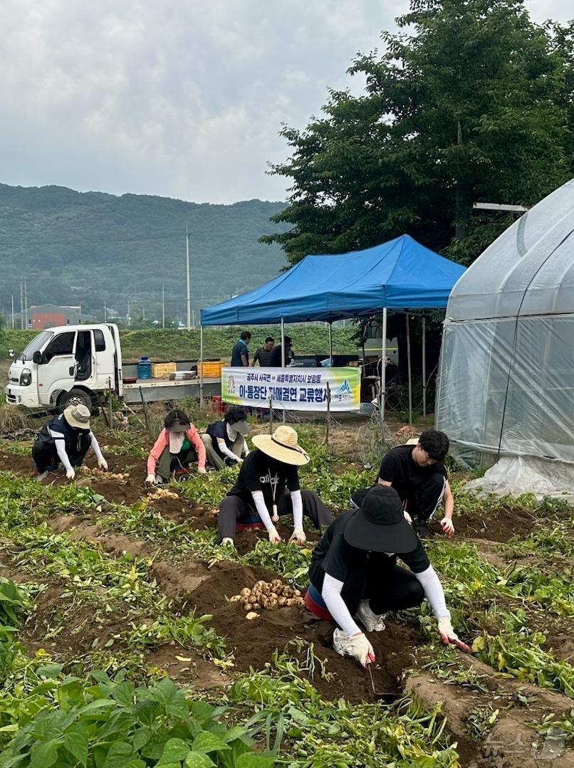 (공주=뉴스1) 이동원 기자 = 공주시 사곡면(면장 유상열)은 지난 24일 자매결연도시인 세종시 보람동 통장협의회와 함께 감자 수확 봉사활동을 실시했다.이번 봉사활동은 지난달 진행 …