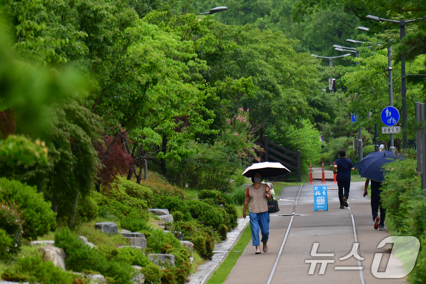 (포항=뉴스1) 최창호 기자 = 25일 경북 포항시 남구 대잠동 철길 숲에서 우산을 쓴 시민들이 걸어가고 있다. 2025.6.25/뉴스1