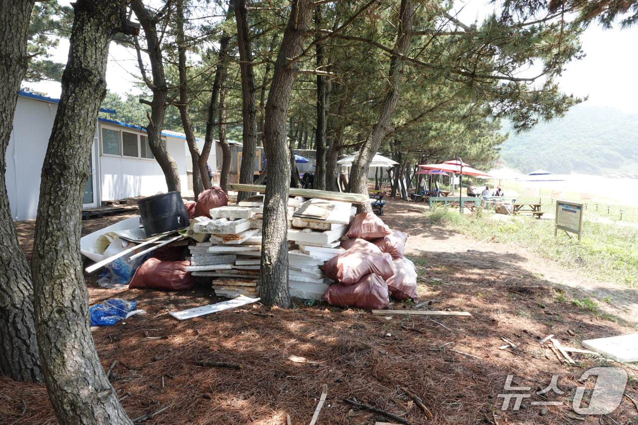 본문 이미지 - 지난 21~22일 굴업도 방풍림에 방치된 해양쓰레기&#40;인천환경운동연합 제공.재판매 및 DB금지&#41;