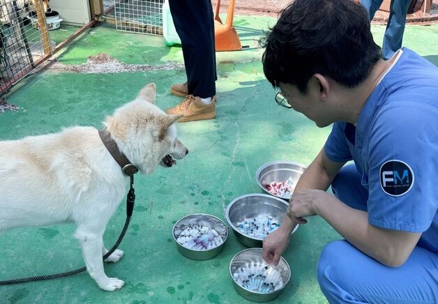 "19마리만 더"…폐쇄 앞둔 유기동물보호소 돕기 나선 수의사들