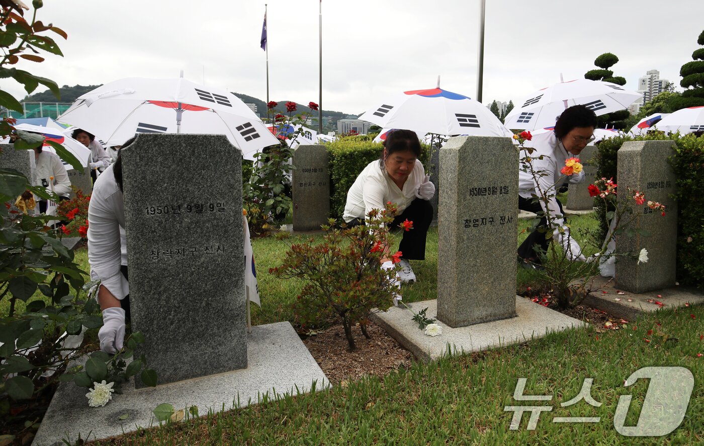 본문 이미지 - 25일 오전 부산 남구 유엔기념공원에서 열린 제75주년 6·25전쟁 참전 유엔전몰용사 추모제에서 태극기 우산을 쓴 참석자들이 유엔군 전몰장병 묘역에 헌화하고 있다. 2025.6.25/뉴스1 ⓒ News1 윤일지 기자