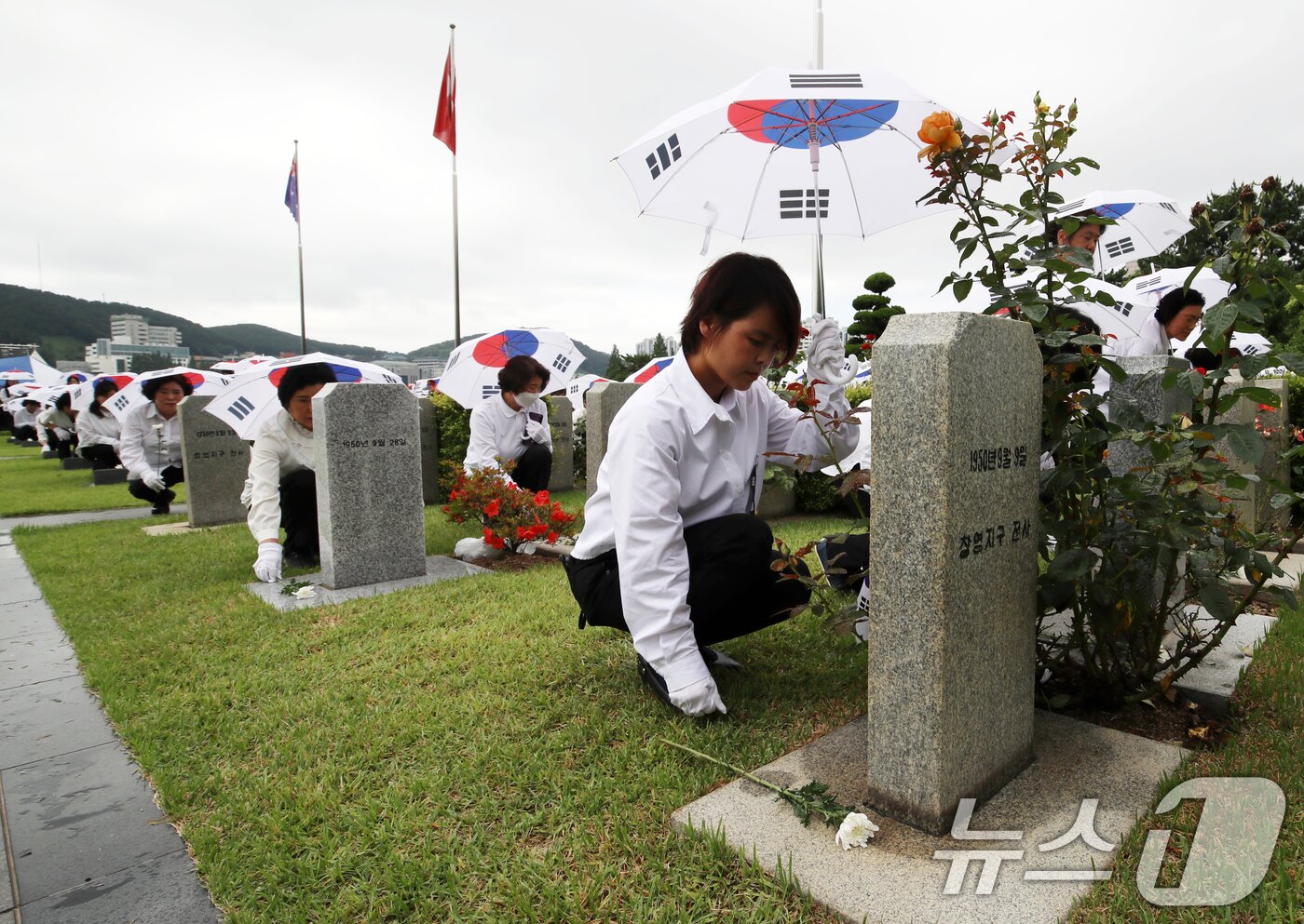 본문 이미지 - 25일 오전 부산 남구 유엔기념공원에서 열린 제75주년 6·25전쟁 참전 유엔전몰용사 추모제에서 태극기 우산을 쓴 참석자들이 유엔군 전몰장병 묘역에 헌화하고 있다. 2025.6.25/뉴스1 ⓒ News1 윤일지 기자