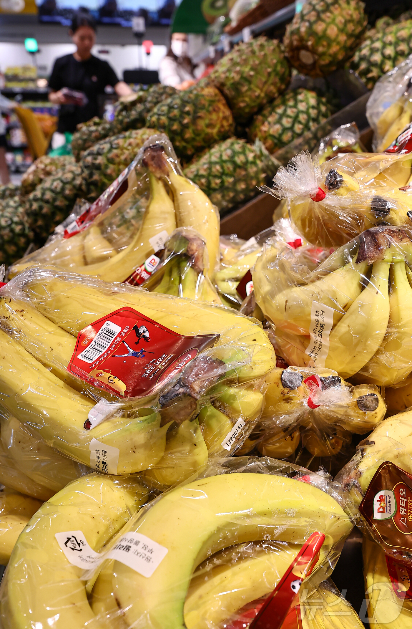 (서울=뉴스1) 김도우 기자 = 정부가 지난해 상반기 사과·배 가격이 치솟으며 전체 물가 상승을 주도하자 물가 안정을 위해 설탕, 바나나 등 농축산물에 할당관세를 적용했지만, 국내 …