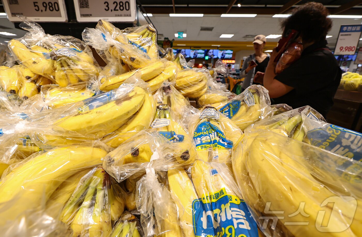 본문 이미지 - 서울 시내 한 대형마트에 판매되는 바나나 등 열대과일. 2025.6.25 ⓒ 뉴스1 김도우 기자