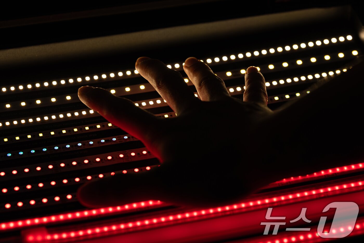 본문 이미지 - 25일 경기 고양시 일산 킨텍스에서 열린 &#39;2025 국제광융합엑스포&#39;에 LED 등이 전시돼 있다. 2025.6.25/뉴스1 ⓒ News1 이승배 기자