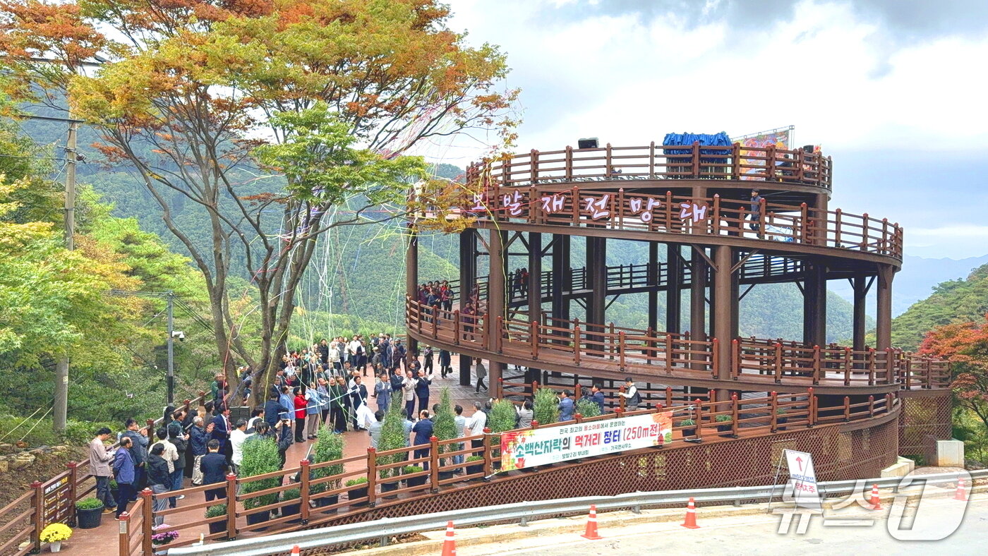 본문 이미지 - 충북 단양 보발재 전망대.&#40;단양군 제공. 재판매 및 DB금지&#41;/뉴스1  