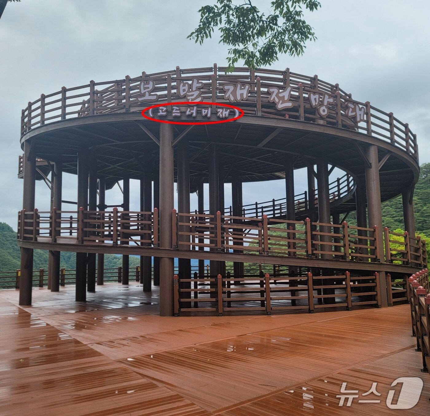 본문 이미지 - 충북 단양 &#39;보발재 전망대&#39; 이름에 &#39;고드너미재&#39; 명칭이 병기돼 있다.&#40;단양군 영춘면 제공. 재판매 및 DB금지&#41;/뉴스1   