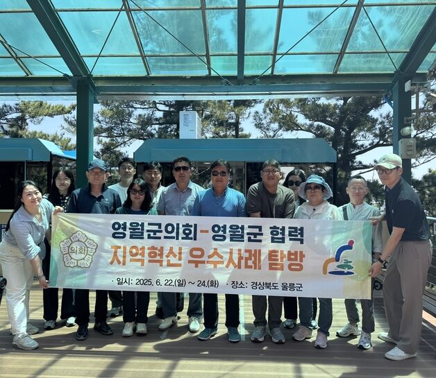 봉래산 모노레일 사업 나선 영월군…울릉도서 모노레일 탐방