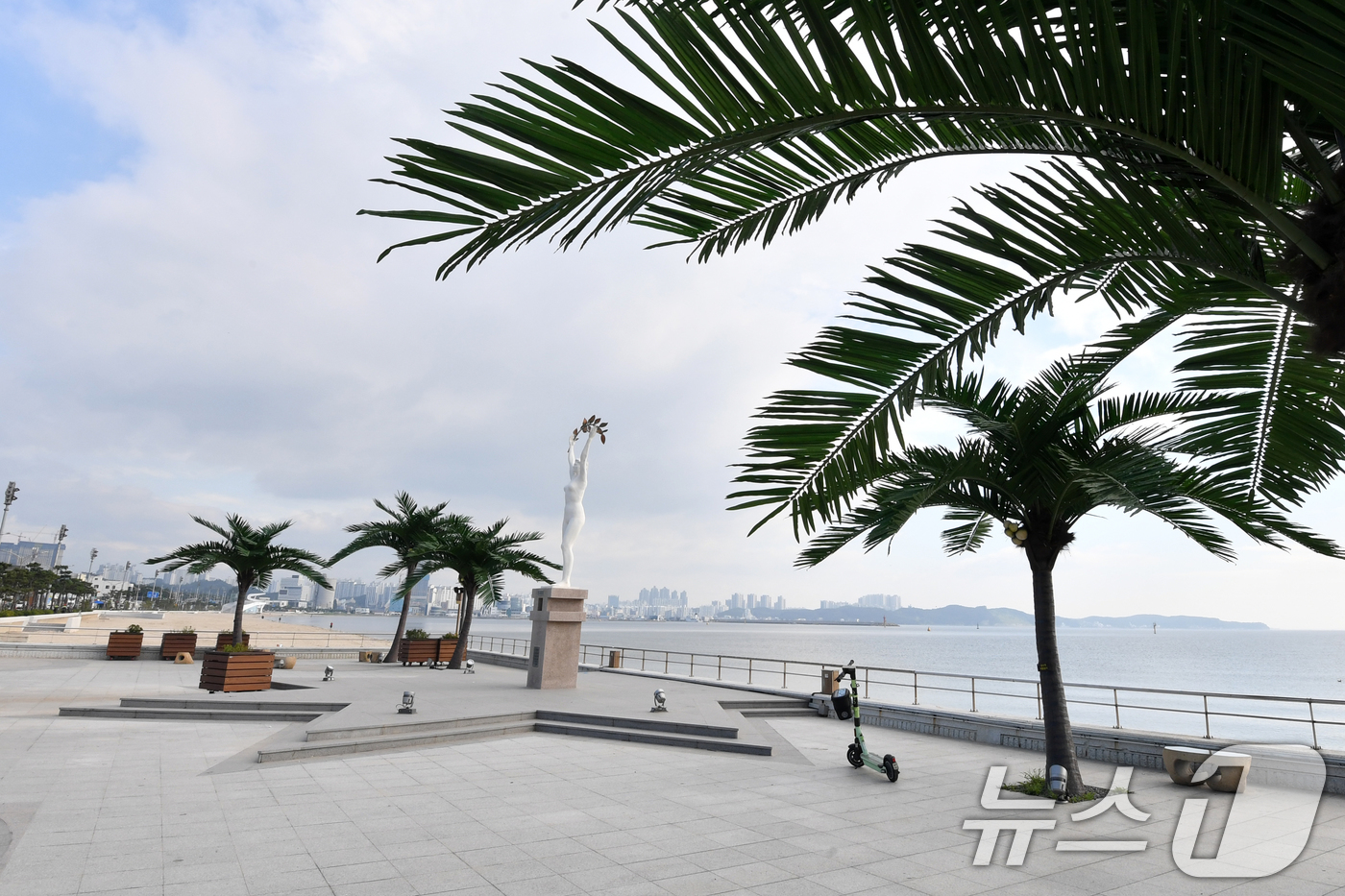 (포항=뉴스1) 최창호 기자 = 26일 경북 포항시 송도해수욕장 평화의 여신상 광장에 인공 야자수 나무들이 그늘을 만들어주고 있다.송도해수욕장은 2007년 태풍으로 백사장 유실이 …