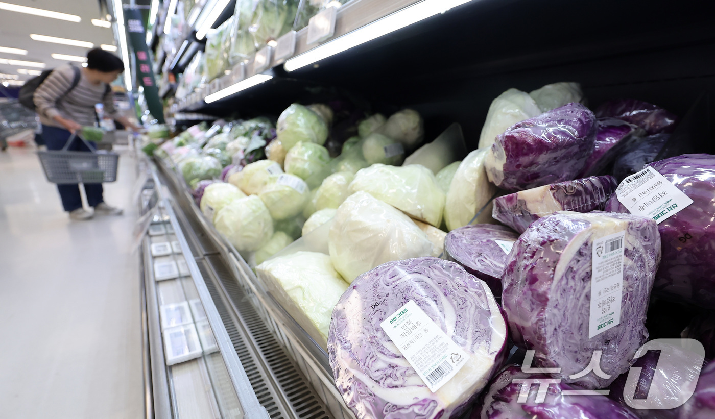 (서울=뉴스1) 김성진 기자 = 정부가 국민 장바구니 부담을 낮추기 위해 농산물 할인 지원을 강화한다.26일 농림축산식품부에 따르면 정부는 최근 1차 추가경정예산을 통해 농축산물 …