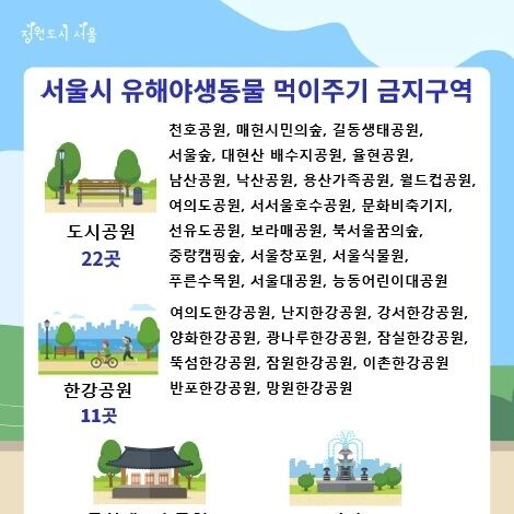 "광화문광장·한강공원 비둘기 먹이주기 금지" 7월부터 과태료