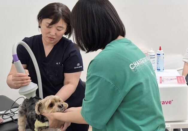 "반려동물 재활 필수시대"…여기로양한방동물병원, 연암대서 실습