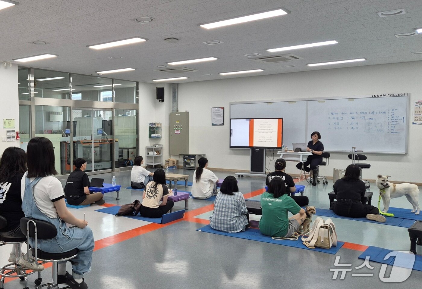 본문 이미지 - 최은영 여기로양한방동물병원 원장이 24일 연암대에서 반려동물 피트니스와 재활 교육을 하고 있다(동물병원 제공). ⓒ 뉴스1