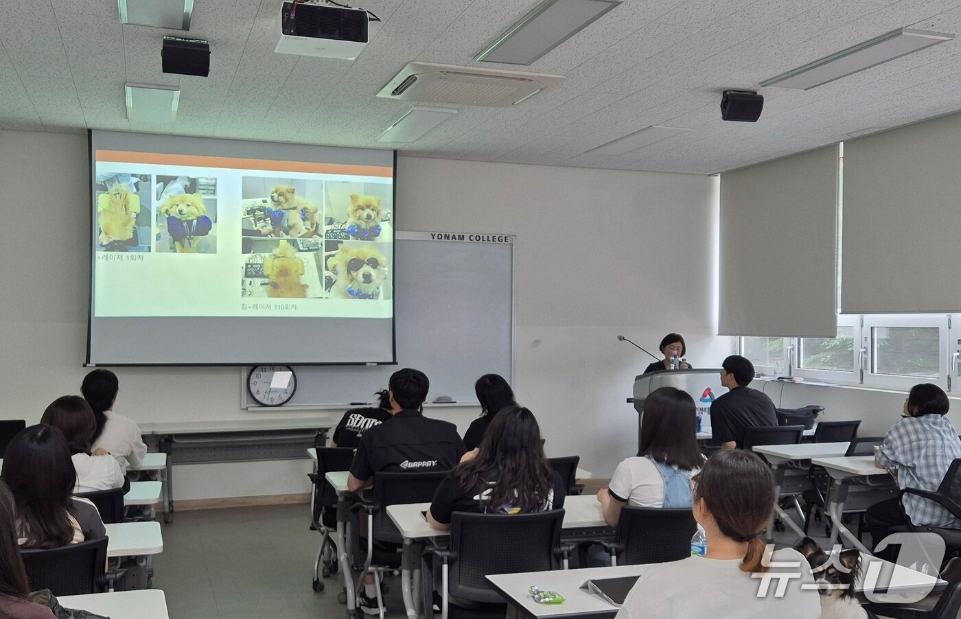 본문 이미지 - 최은영 여기로양한방동물병원 원장이 24일 연암대에서 반려동물 피트니스와 재활 교육을 하고 있다(동물병원 제공). ⓒ 뉴스1