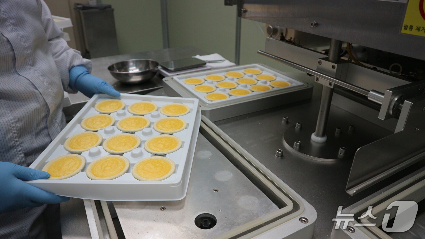 본문 이미지 - 나따오비까 클래식 에그타르트 제조 현장. (시그니처 제공. 재판매 및 DB 금지)