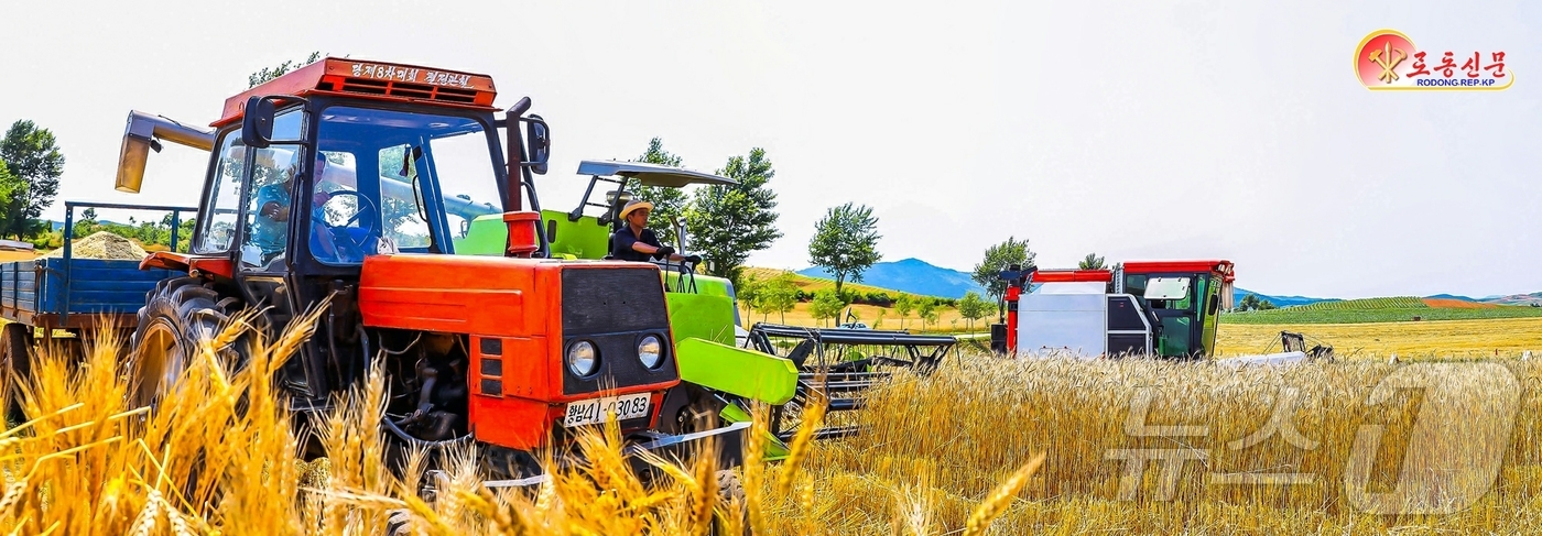 (평양 노동신문=뉴스1) = 북한 노동당 기관지 노동신문은 27일 "각지 농업부문 일꾼(간부)들과 근로자들이 애써 가꾼 밀, 보리를 허실없이 거두어 들이기 위해 분발해 나섰다"고 …