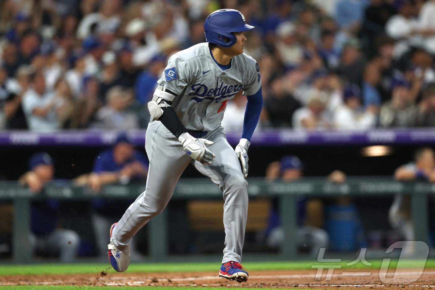 본문 이미지 - LA 다저스의 오타니 쇼헤이. ⓒ AFP=뉴스1