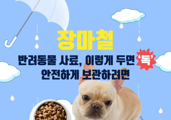 반려동물 사료, 장마철 '독' 될 수도…안전하게 보관하려면[펫카드]