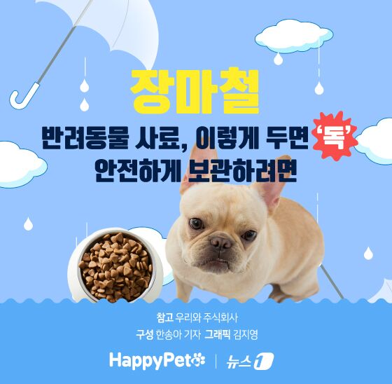 반려동물 사료, 장마철 '독' 될 수도…안전하게 보관하려면[펫카드]