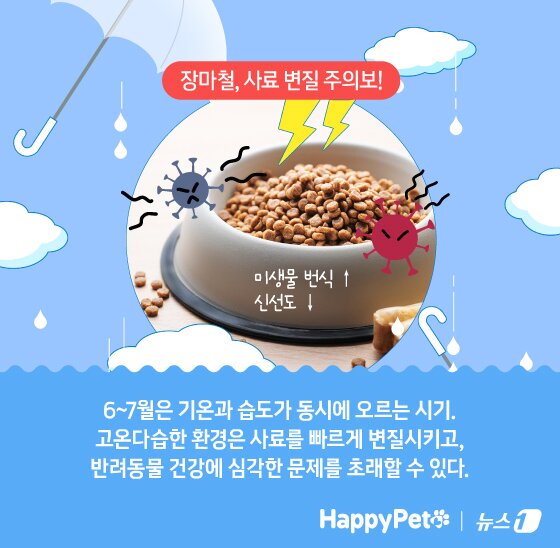 본문 이미지 - ⓒ News1 김지영 디자이너