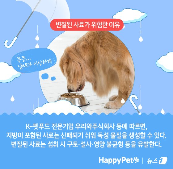 본문 이미지 - ⓒ News1 김지영 디자이너