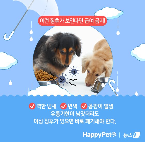 본문 이미지 - ⓒ News1 김지영 디자이너