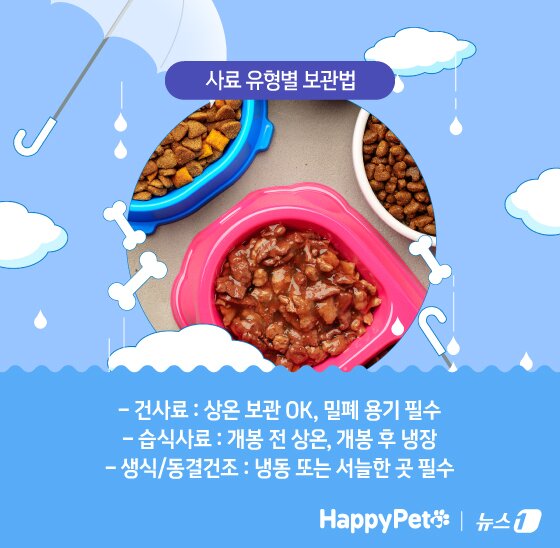본문 이미지 - ⓒ News1 김지영 디자이너