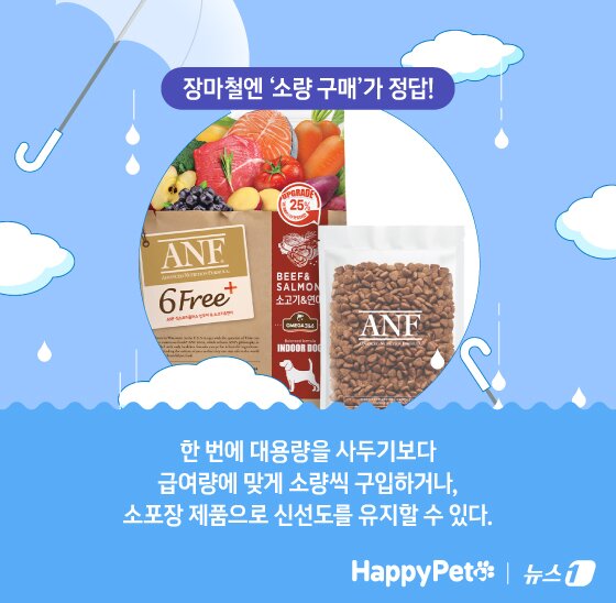본문 이미지 - ⓒ News1 김지영 디자이너