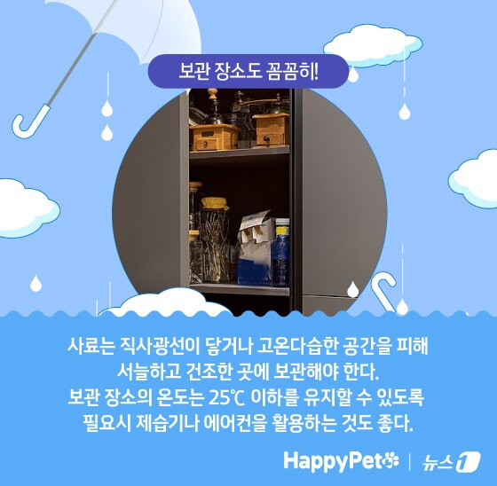 본문 이미지 - ⓒ News1 김지영 디자이너