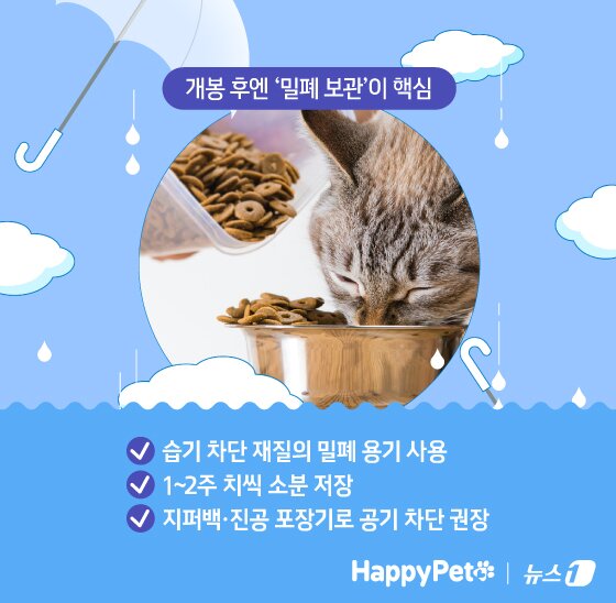 본문 이미지 - ⓒ News1 김지영 디자이너